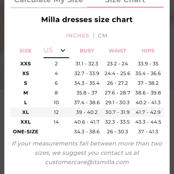 Size XL Authentic Milla tea length tulle dress in color misty rose. Worn once. - Picture 7 of 15